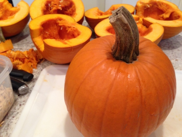 Fall = Time for Pumpkins!